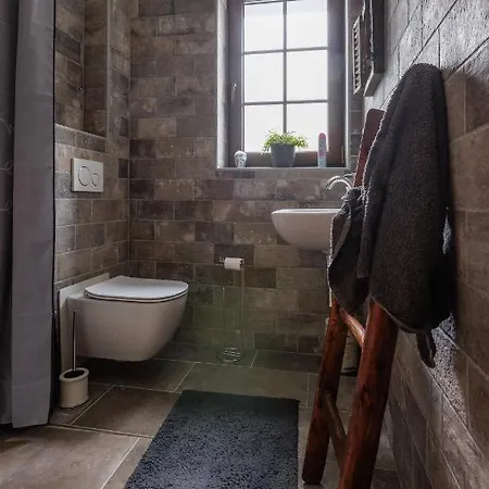 Apart-hotel Rabasuv Mlyn 3*